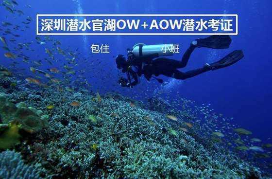 拯救可爱袋鼠