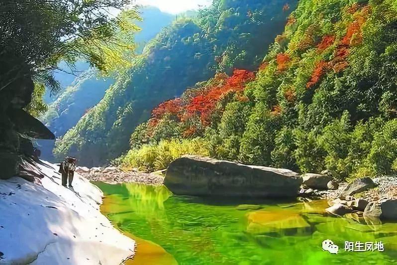 贾玲《热辣滚烫》被卷入诈骗风波，赵丽颖版花千骨时隔九年被怀念
