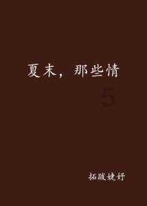 彼得比尔特379拼图